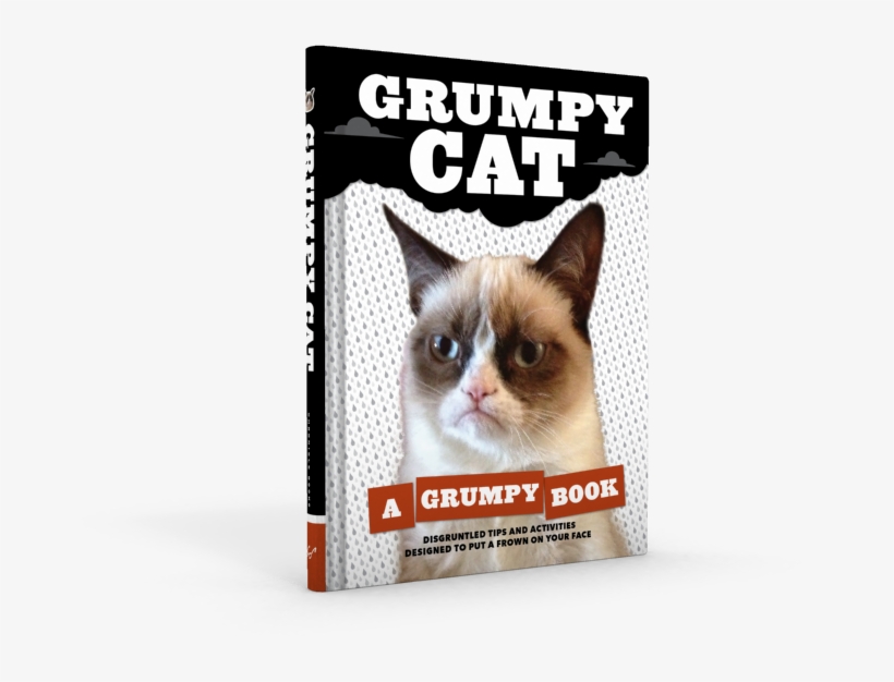 Prev / Next, transparent png download