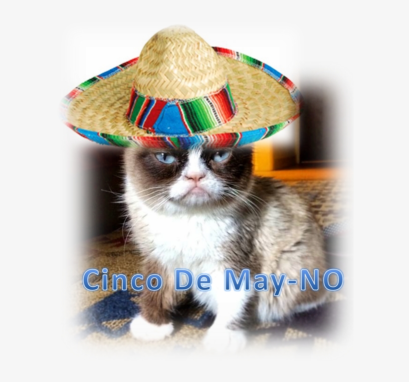 Boyce And Hart On Twitter - Grumpy Cat Cinco De Mayo, transparent png download