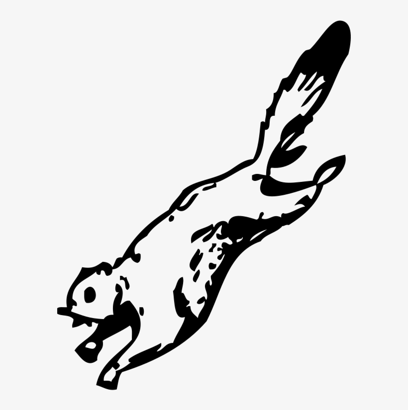 Flying Squirrel 2 Fzohgk Clipart - Flying Squirrel Clipart, transparent png download