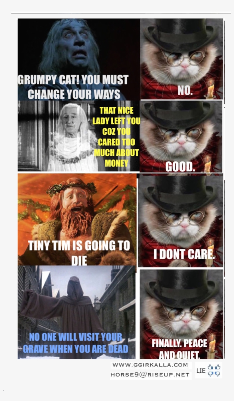 Grumpy Cat You Must Change Your Ways No That Nice Lady - Christmas Carol Ghost Of Christmas, transparent png download