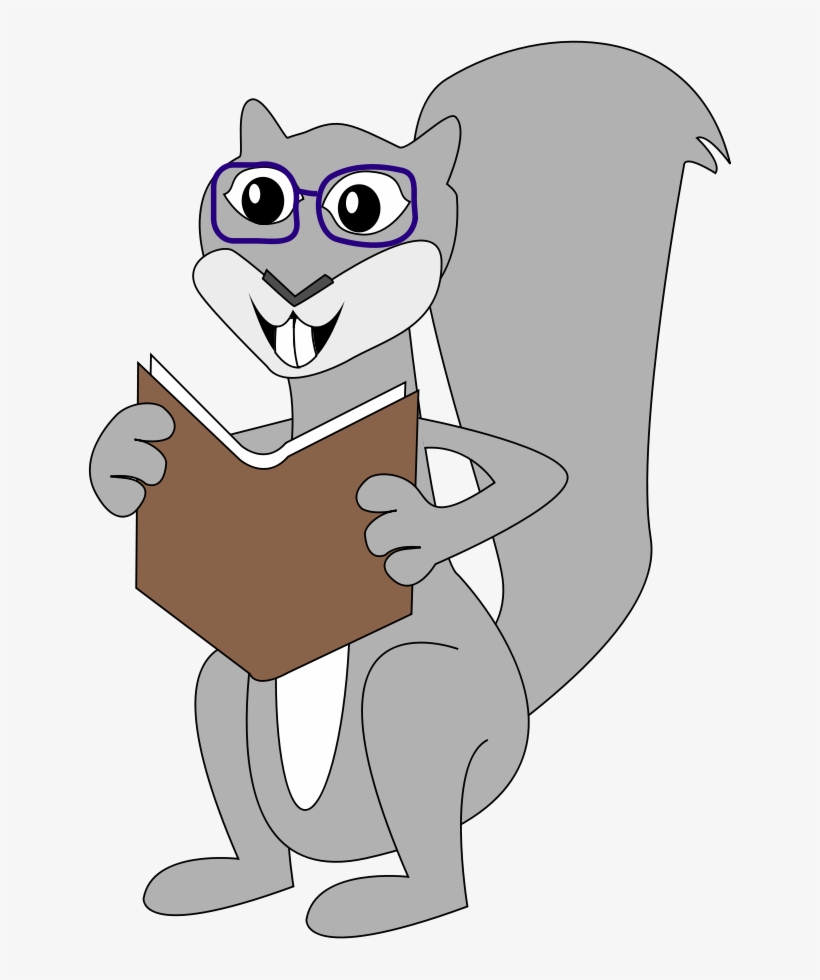 Gray Squirrel Clipart Tupai - Squirrel Clip Art, transparent png download