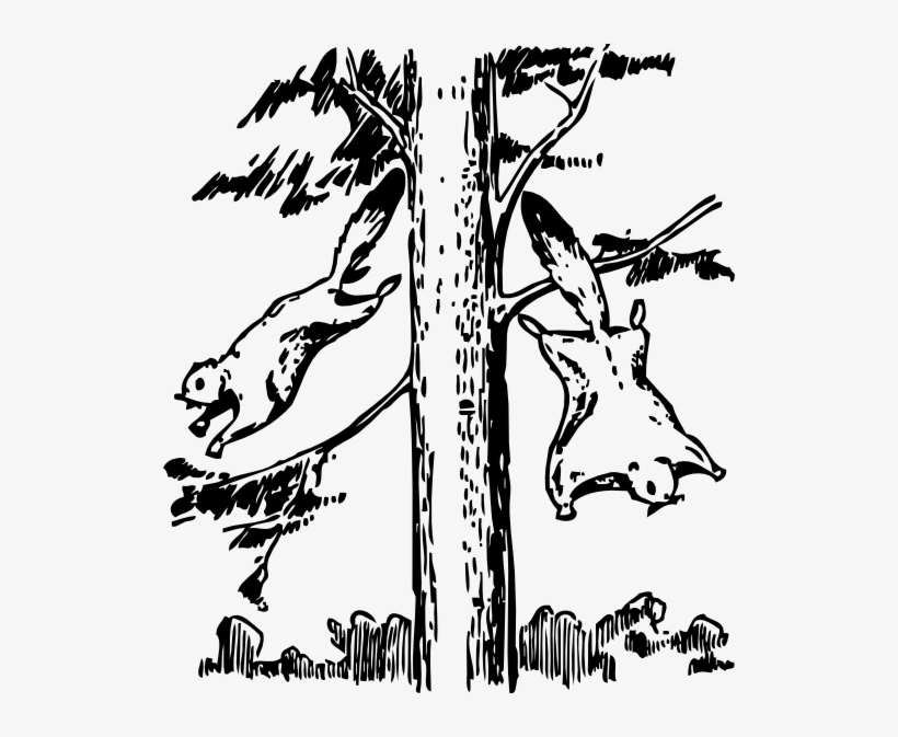 Flying Squirrels Svg Clip Arts 522 X 593 Px, transparent png download