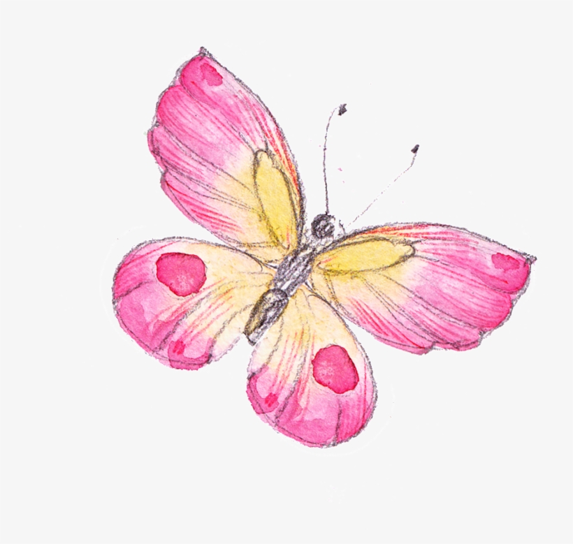 Pink Butterfly Ornament Material - Mariposa En Rosa Png, transparent png download
