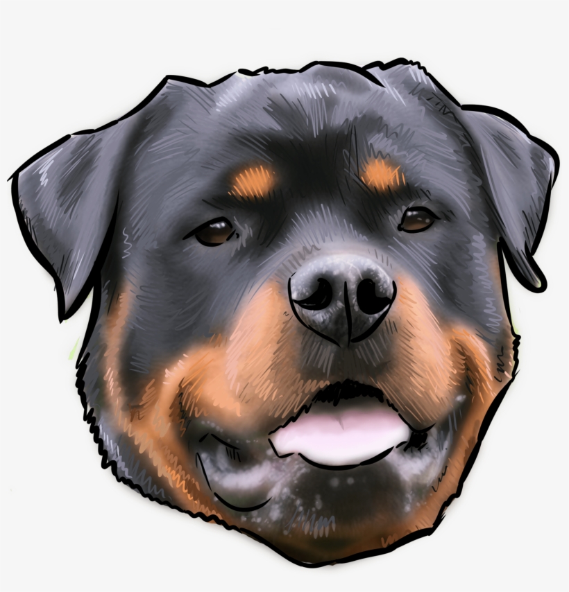 48 Why Are You A Rottweiler - Rottweiler Kill Man, transparent png download