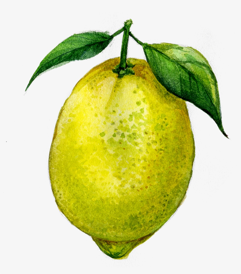 Juice Lemon Fruit Transprent Png Free Download - Lemon, transparent png download