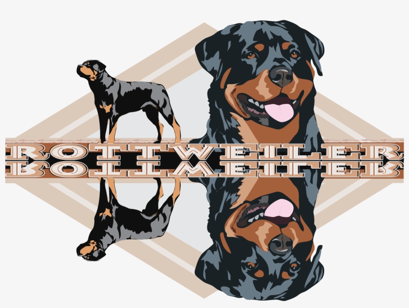 Rottweiler Dog And The Head Of Rottweiler Dog With - Rottweiler, transparent png download