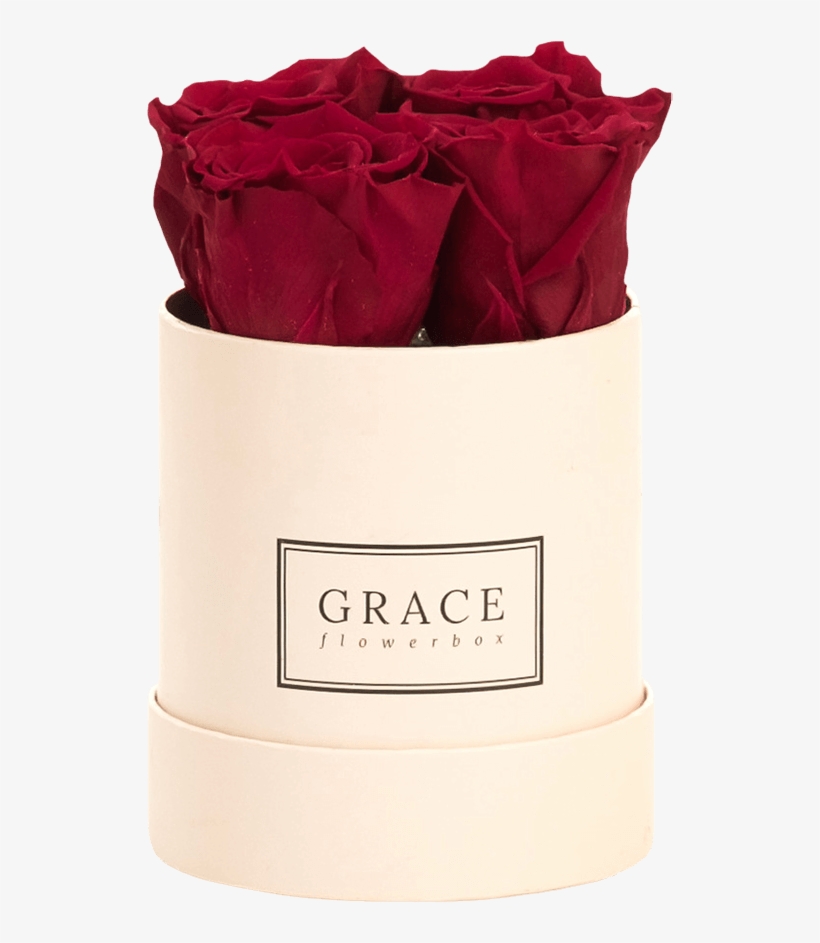 Grace Flowerbox, transparent png download