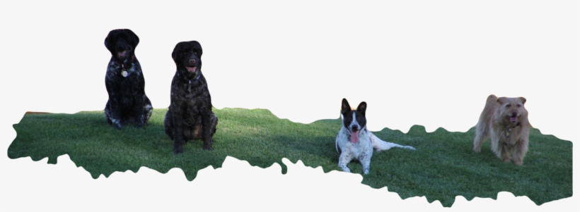 Fur Stars Pet Care Llc - Rainbow Bridge, transparent png download