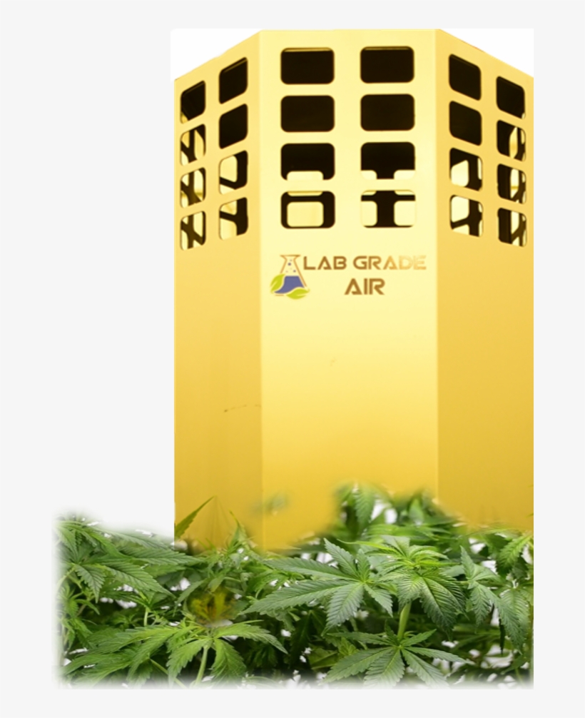 Lab Grade Air Air Duct Purification Clean Marijuana - Architecture, transparent png download