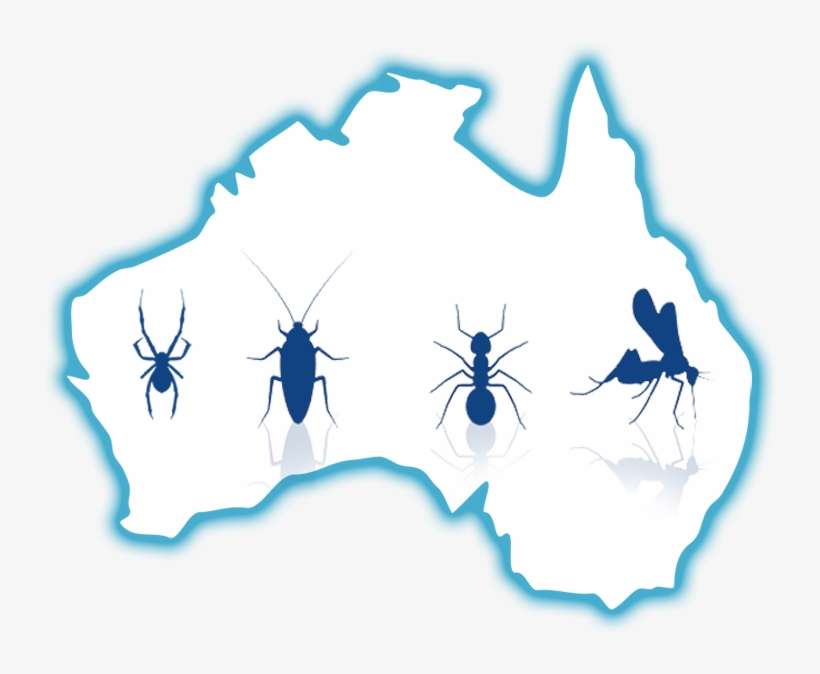 Bed Bugs - Grampians On Australia Map, transparent png download