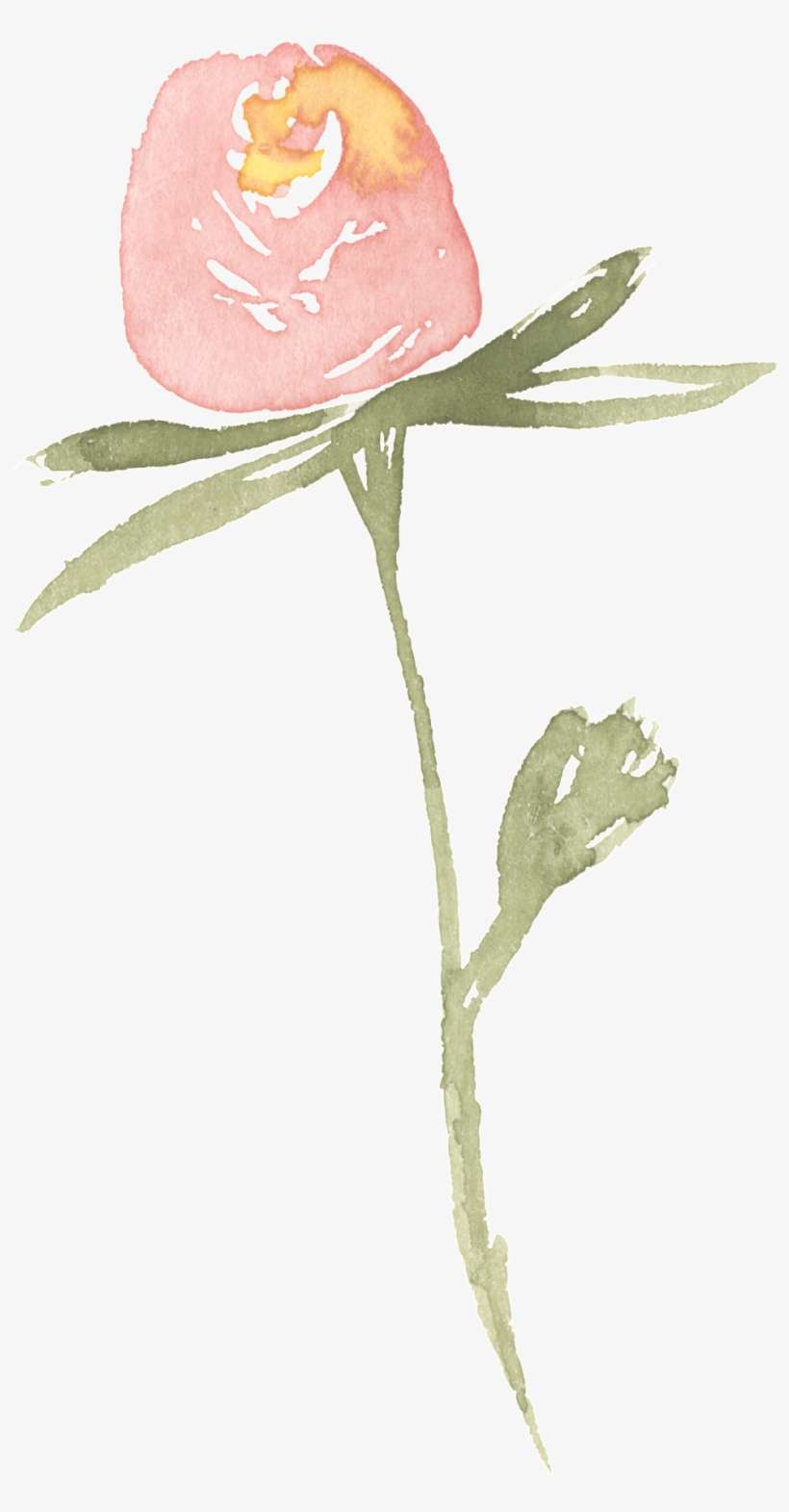 Pink Rose Transparent Decorative - Garden Roses, transparent png download