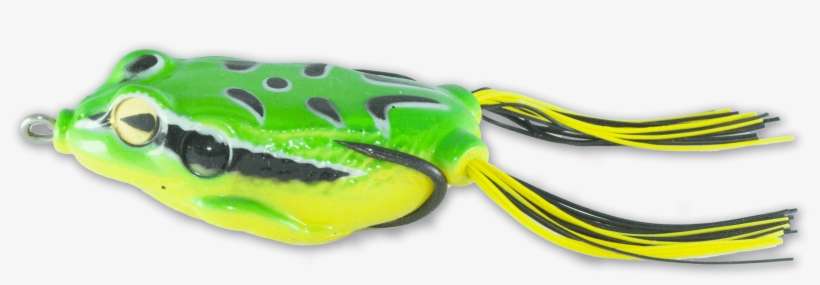 Green Frog - Castaic, transparent png download
