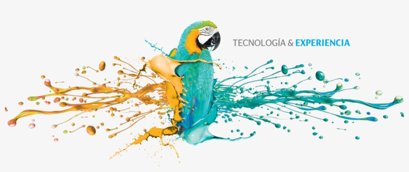 2012 Editorial Del Sur, S, transparent png download
