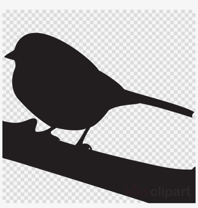 Download Cornell Lab Of Ornithology Clipart Cornell Circle Watercolor