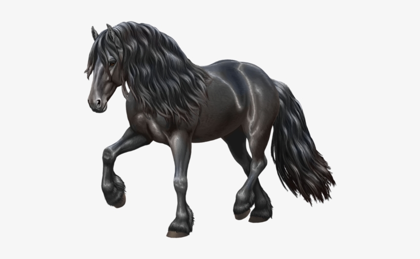 Click And Drag To Re-position The Image, If Desired - Friesian Horse, transparent png download
