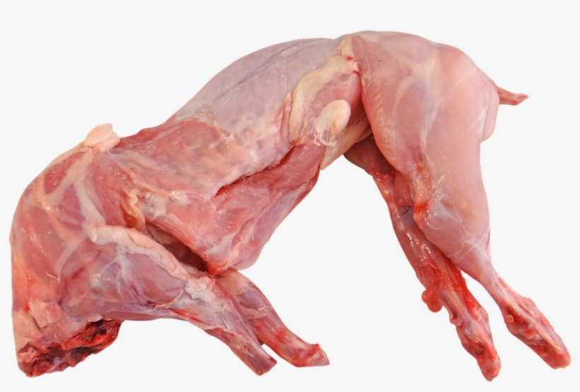 Rabbit Image - Rabbit Meat Png, transparent png download