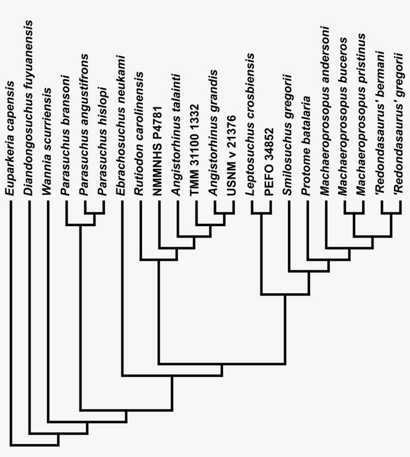 Download - Number, transparent png download