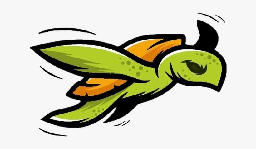 8, Turtle Squad, - Turtle, transparent png download