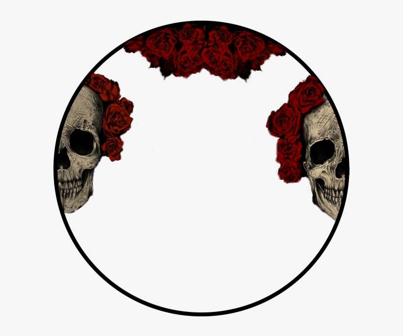Skull, transparent png download