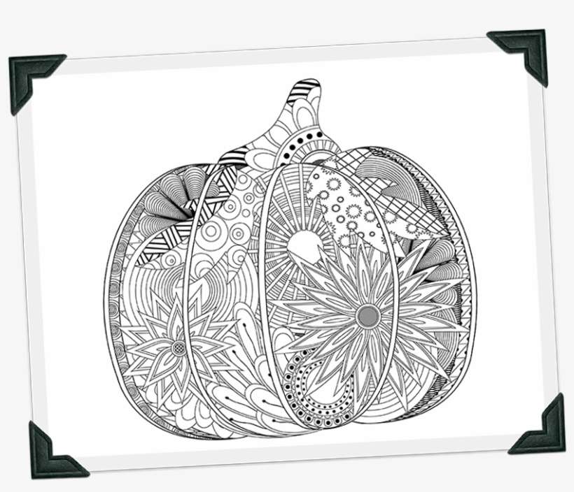 Step Three Snap A Photo Of Your Finished Pumpkin And - Halloween Coloring Contest, transparent png download