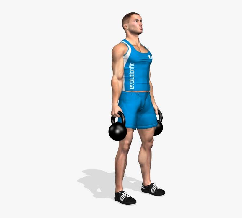 Deadlift 2 Kettlebell Involved Muscles During The Training - Exercise, transparent png download