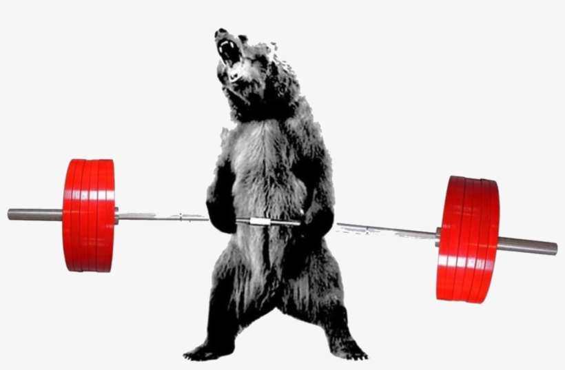 Deadlift Gear - Bear Deadlifting, transparent png download