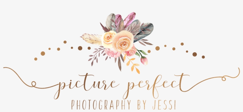 Picture Perfect Photography By Jessi Roanoke, Va 339-5683 - Greeting Card, transparent png download