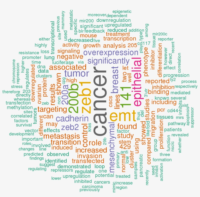 Sort By - Mir 141 Target, transparent png download