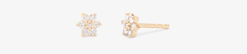 Flower Studs - Earrings, transparent png download