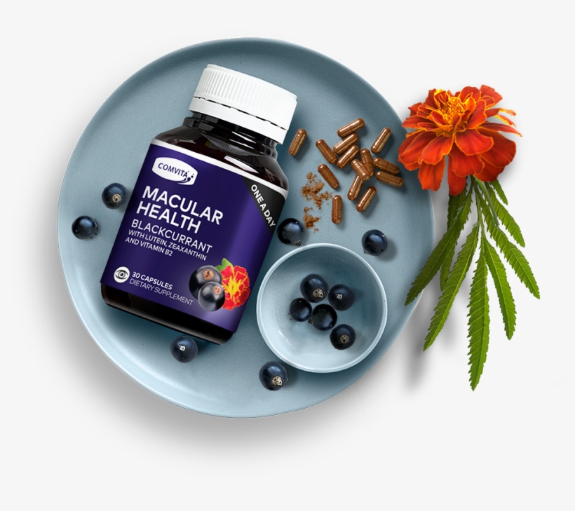 Macular Homepage-parallax Top 2 - Tagetes Patula, transparent png download