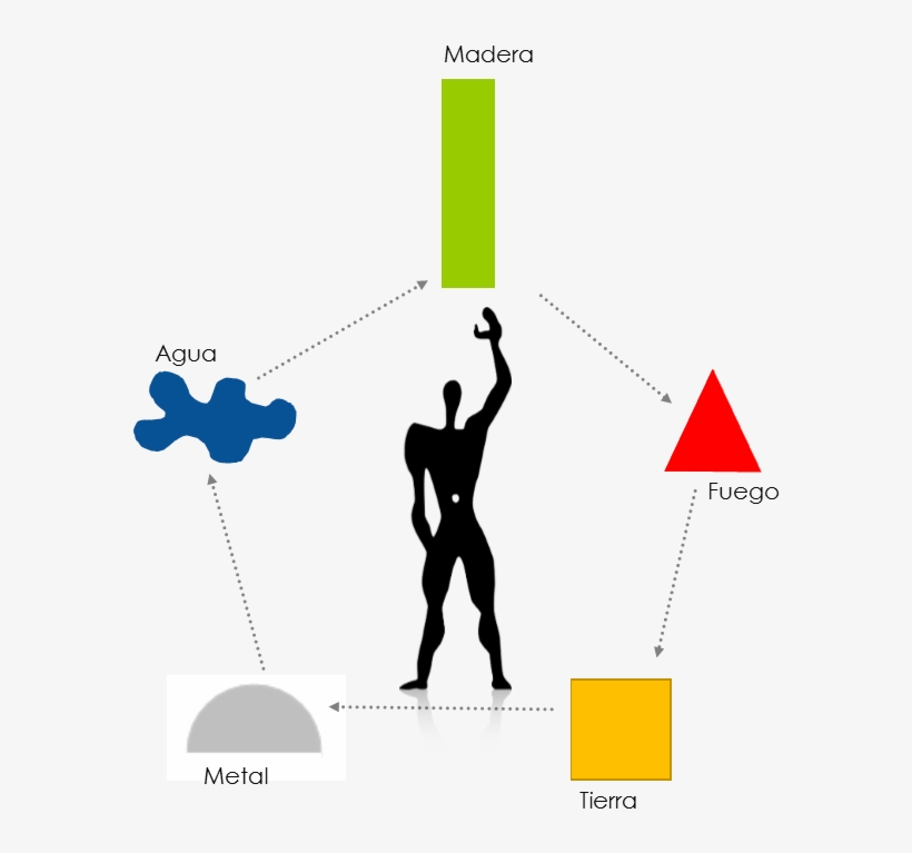 Modulor - Le Corbusier Modulor Png, transparent png download