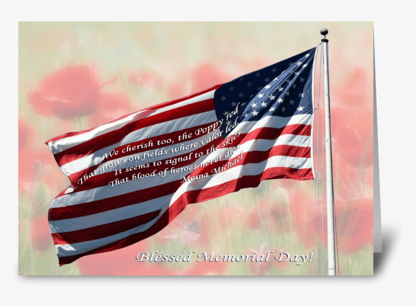 Flag And Poppies Greeting Card - Takeover, Liberalism In America: Expressions Of A Conservative, transparent png download