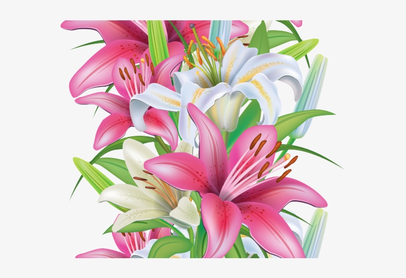 Original - Portable Network Graphics, transparent png download