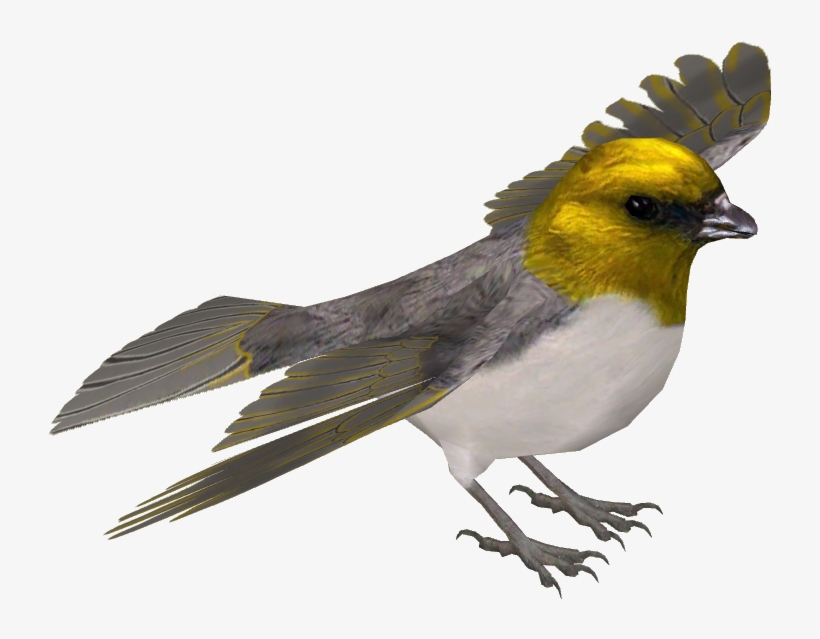 Palila - European Robin, transparent png download