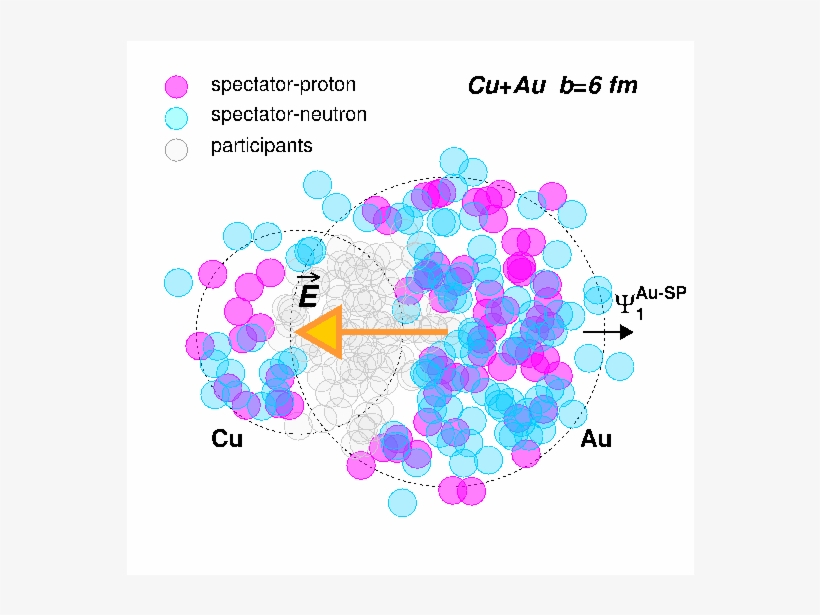 Show More Plots - Electric Charge, transparent png download