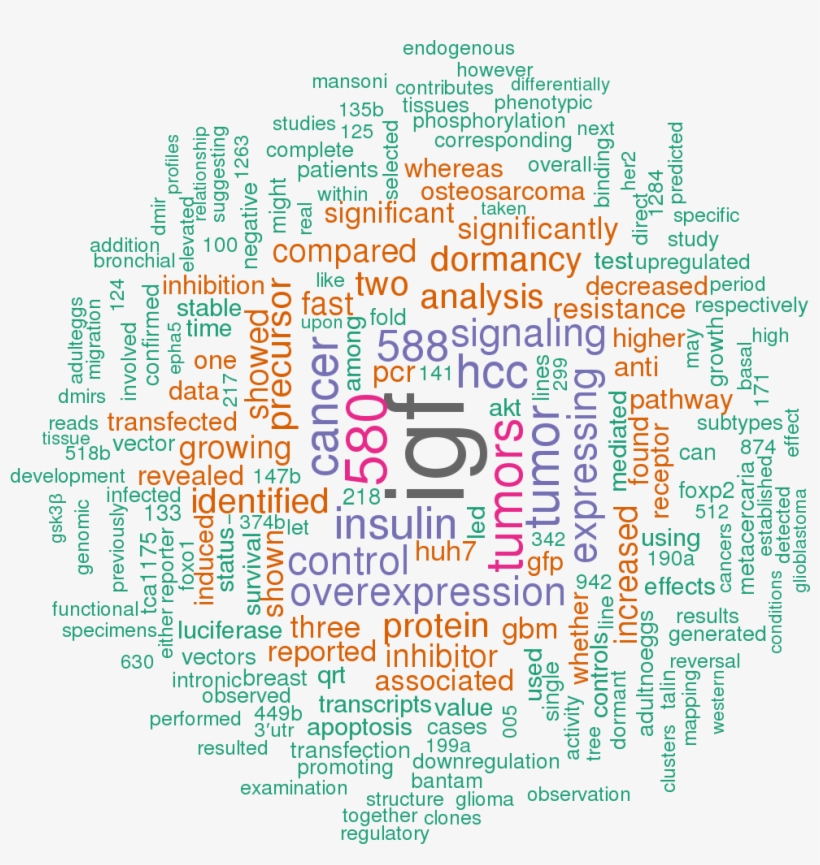 Sort By - Trump Tweets Word Cloud, transparent png download