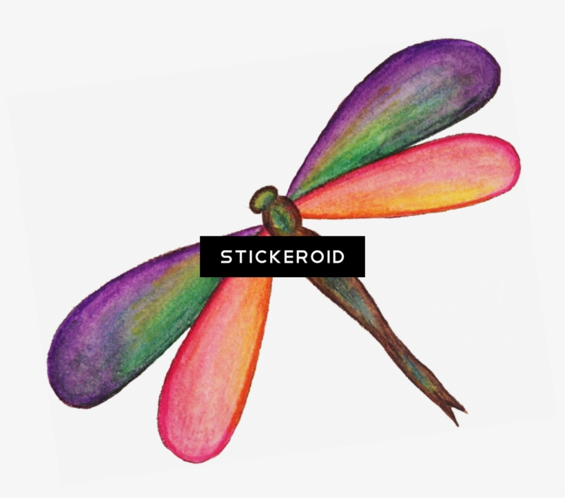 Dragonfly Hd Insects - Net-winged Insects, transparent png download