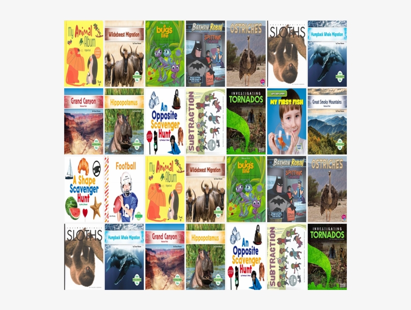 The New Titles This Week Include "my Animal Album," - Children's Literature, transparent png download