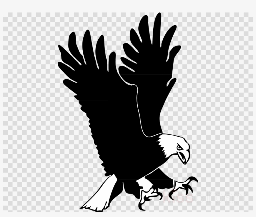 Eagle Clip Art Clipart Bald Eagle Clip Art - Movie Icons Transparent Background, transparent png download