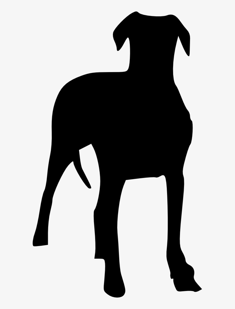 10 Dog Silhouette - Png Format Dog Png Transparent, transparent png download