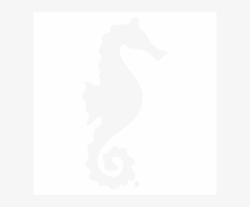 Seahorse - Caballitos De Mar En Vinilo, transparent png download