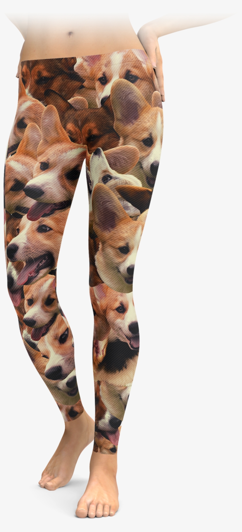 Corgs On Corgs On Corgis Leggings - Horse Riding - Barn Hair Don't Care, transparent png download