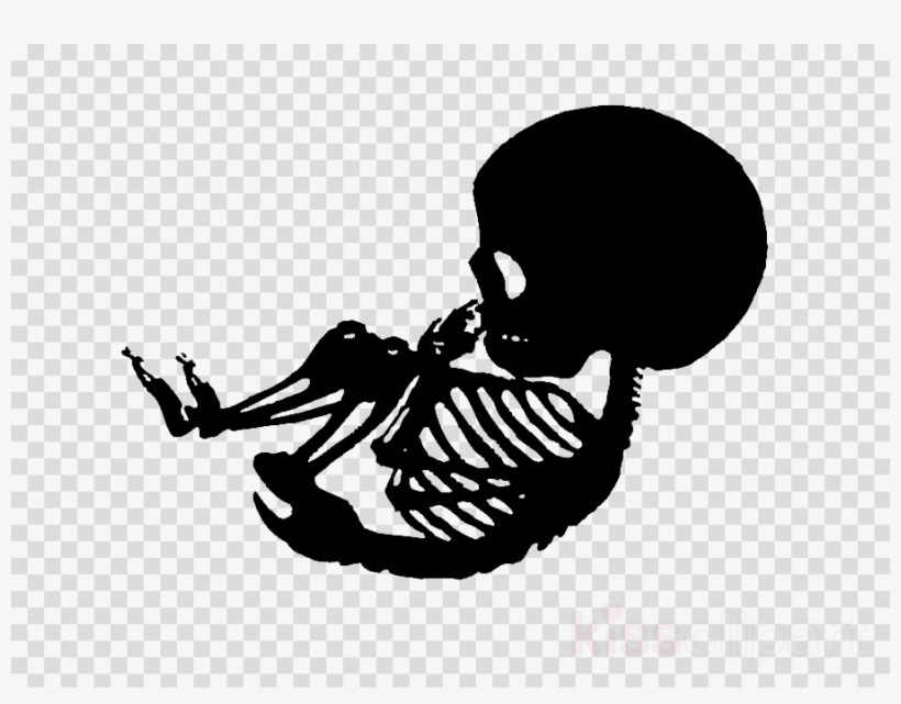 Skeleton Stencil Png Clipart Clip Art - Transparent Rugby Ball Outline, transparent png download