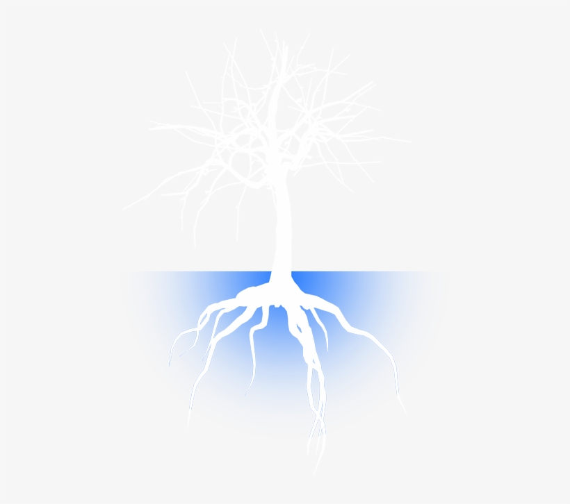 This Is An Evolving Presentation, With - Education, transparent png download