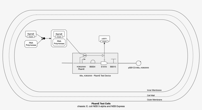 While Bame Is A Byproduct Of Our System - Diagram, transparent png download