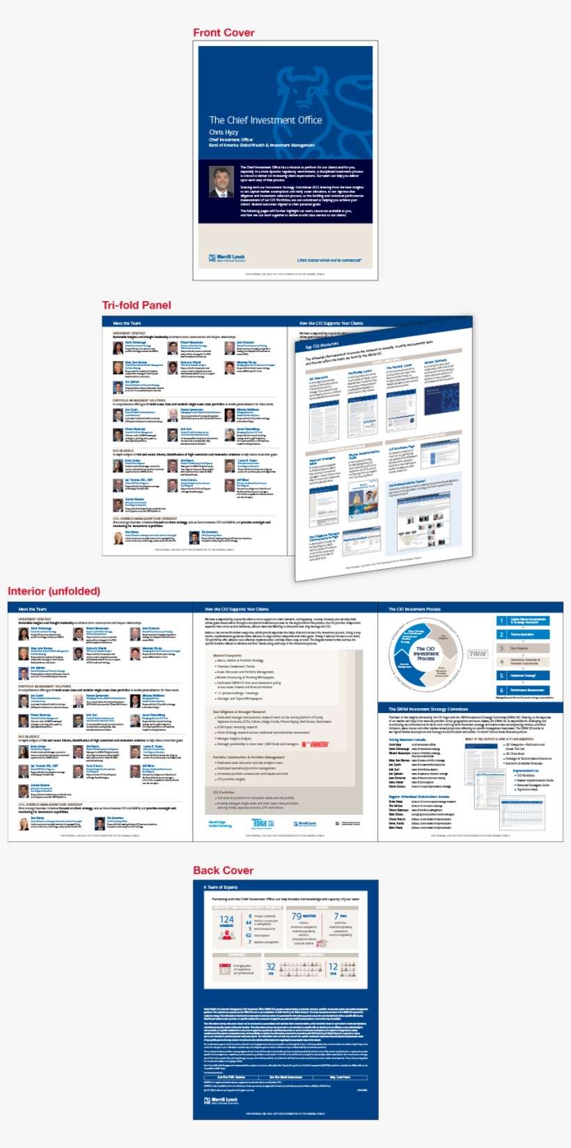 Cio Tri-fold Brochure - Brochure, transparent png download