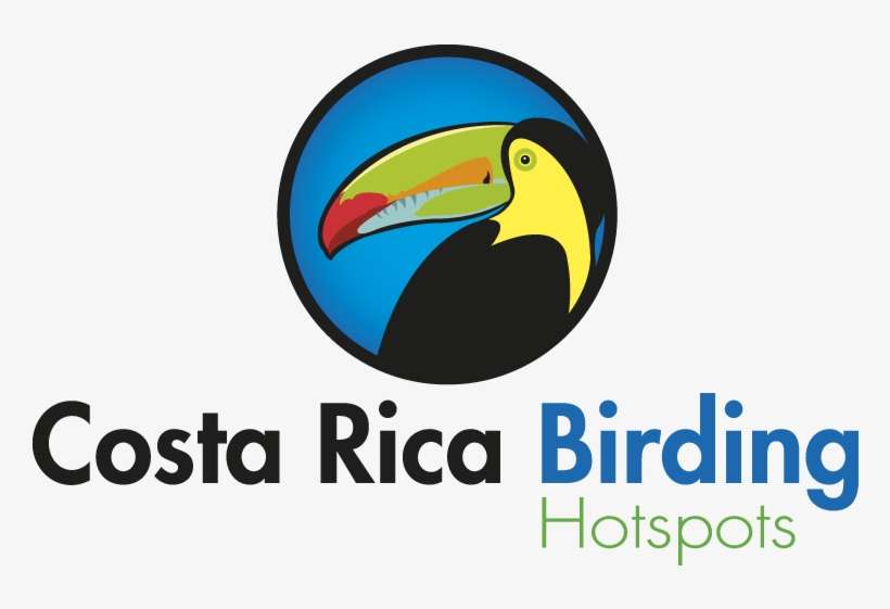 La Fortuna, Arenal Costa Rica Toll Free - Canada Career Counselling, transparent png download