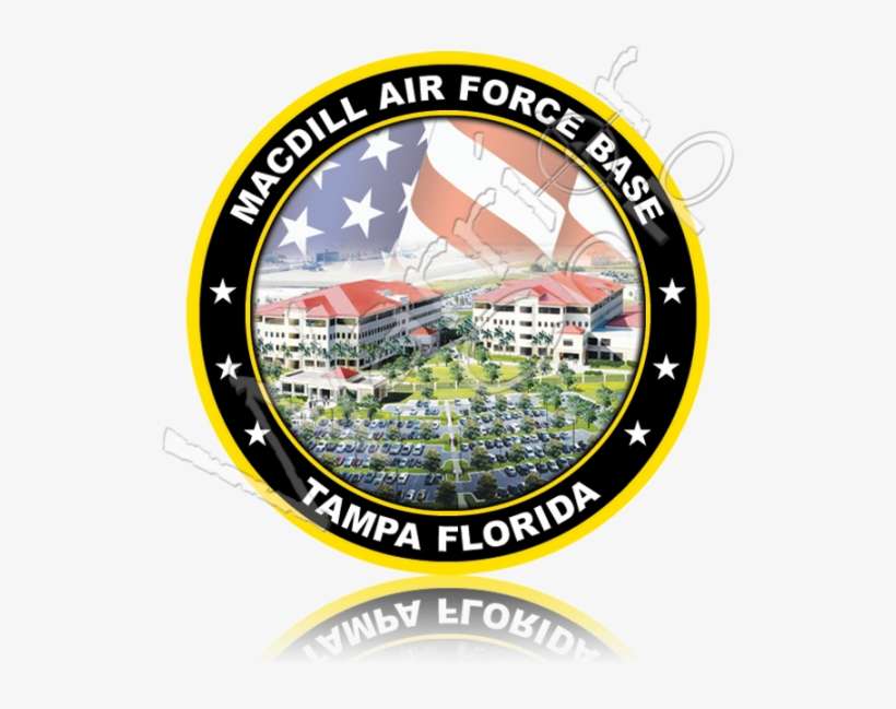 Official Vfw Logo Related Keywords Official Vfw Logo - Macdill Air Force Logo, transparent png download