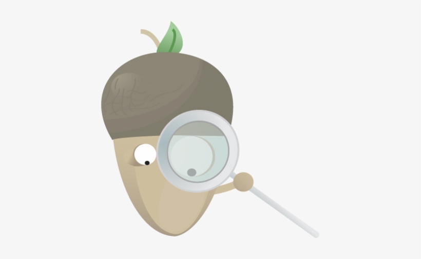 File - Acorn Icon, transparent png download