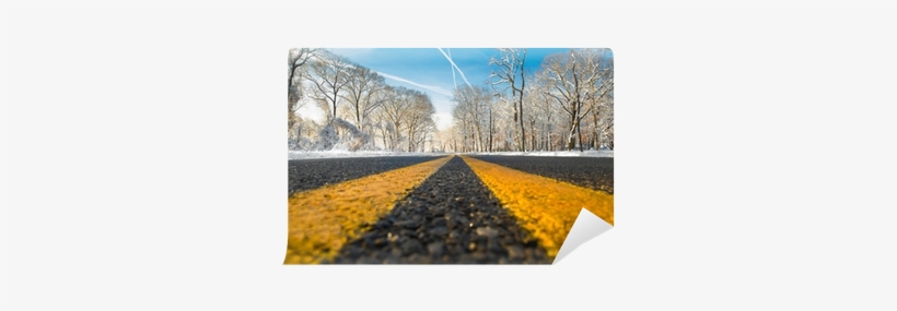 Yellow Dividing Line On Road On Winter Day Wall Mural - Road, transparent png download